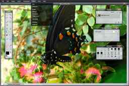 Thumbnail 12