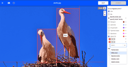 Thumbnail 0