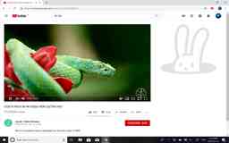 Thumbnail 0