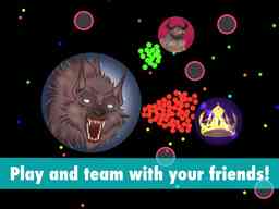Thumbnail 0