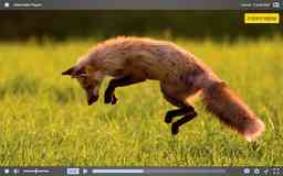 Thumbnail 0