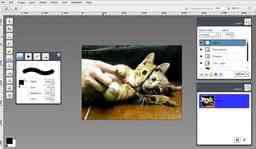 Thumbnail 0