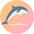 Dawfin logo