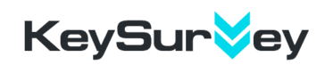 Key Survey logo