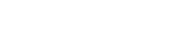 Precision IT logo
