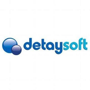Detaysoft logo