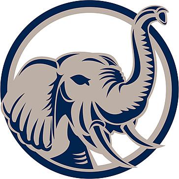 Trademark Protection Services logo