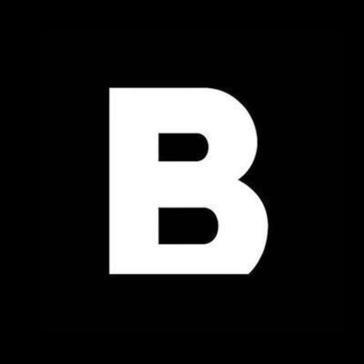 BORN GROUP, INC. logo