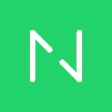Netguru logo