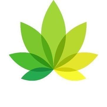 IndicaOnline logo