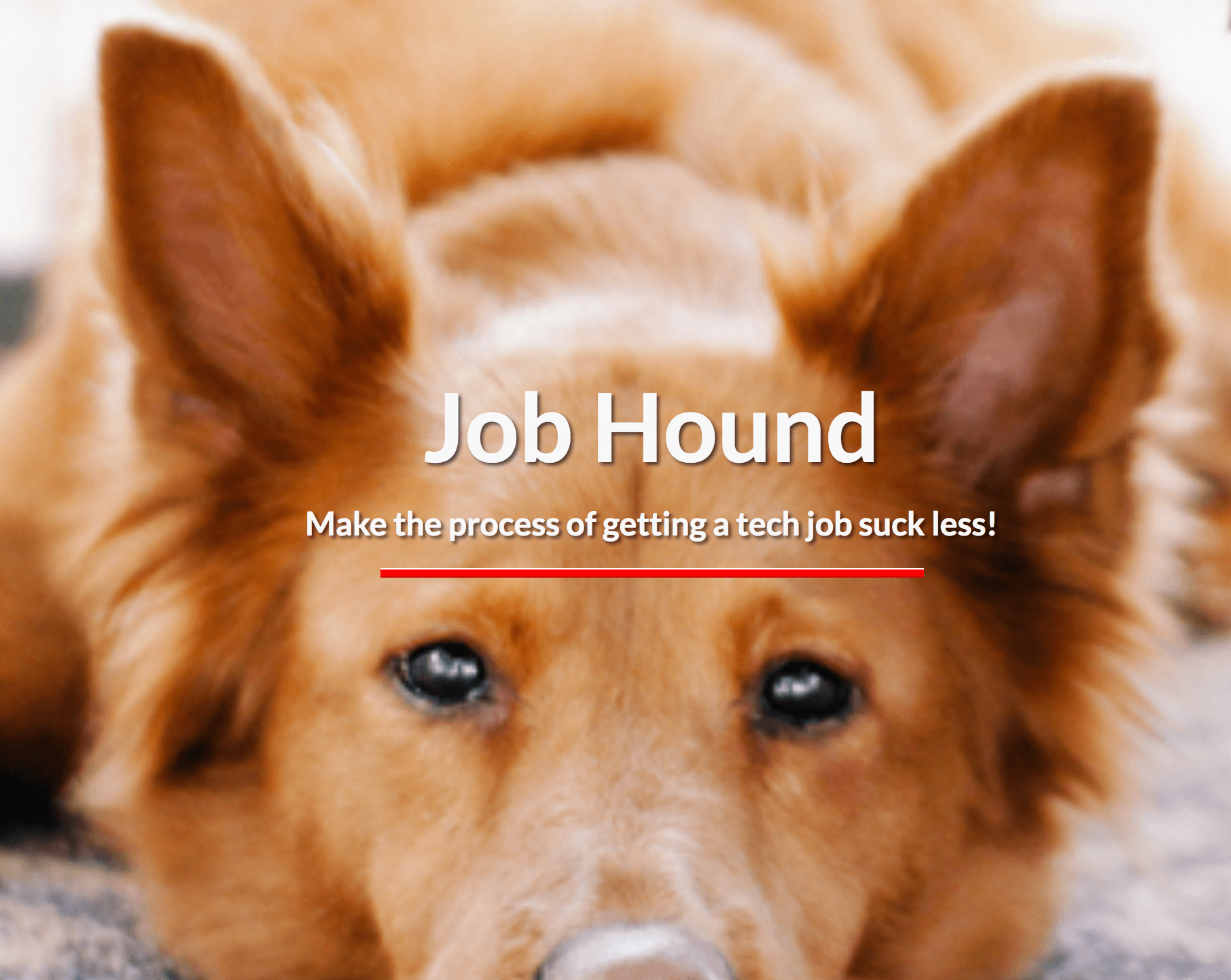 Job Hound logo