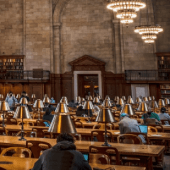 Redesign of the YC Library logo