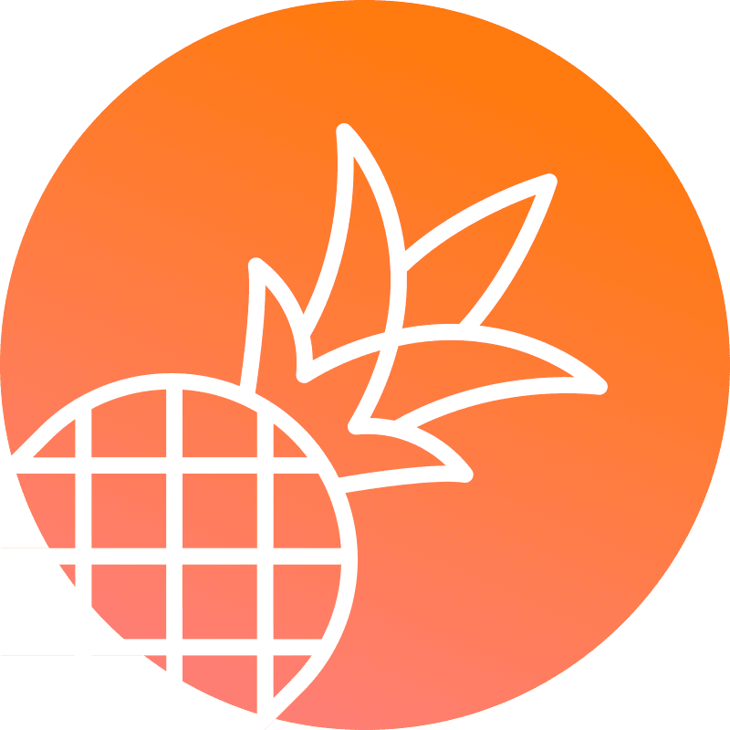Pineapple Builder logo