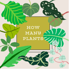 How Many Plants logo