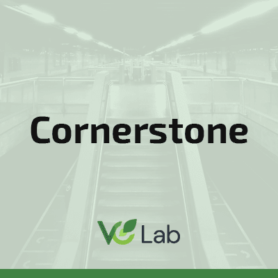 VC Domicile Playbook logo