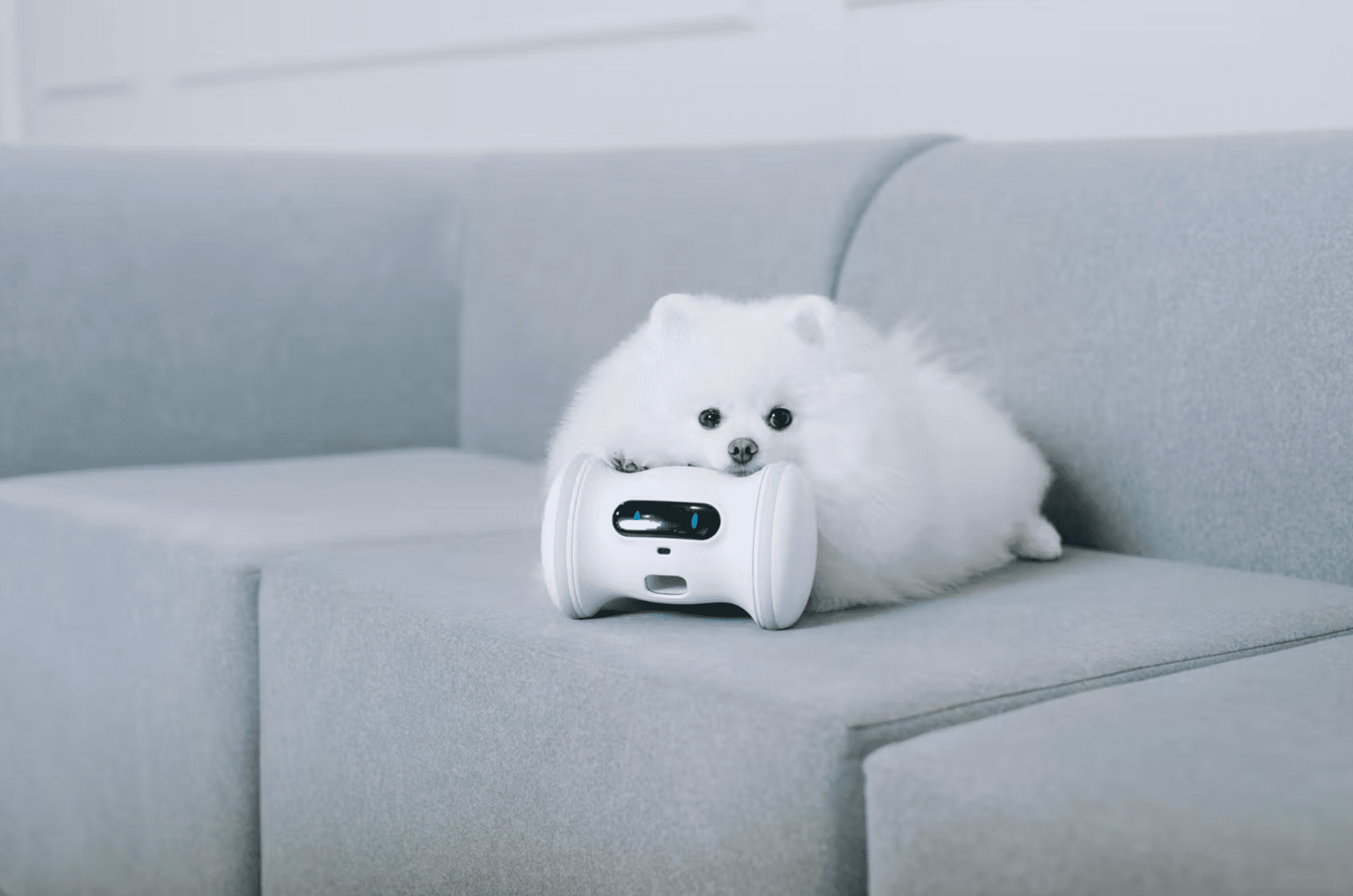 Varram Pet Robot logo