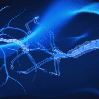 PlatoWork Brain Stimulator logo