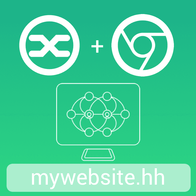 Hash Name Service logo