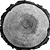 Noon Pacific logo