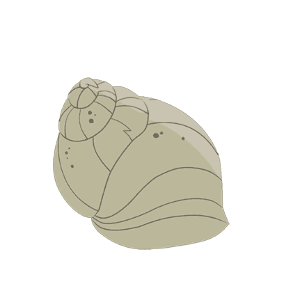 Shelly logo