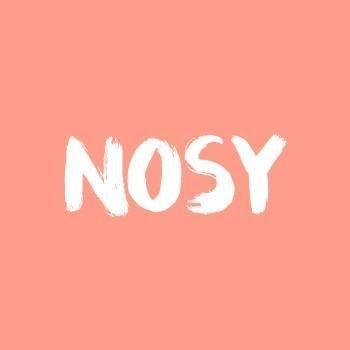 Nosy logo
