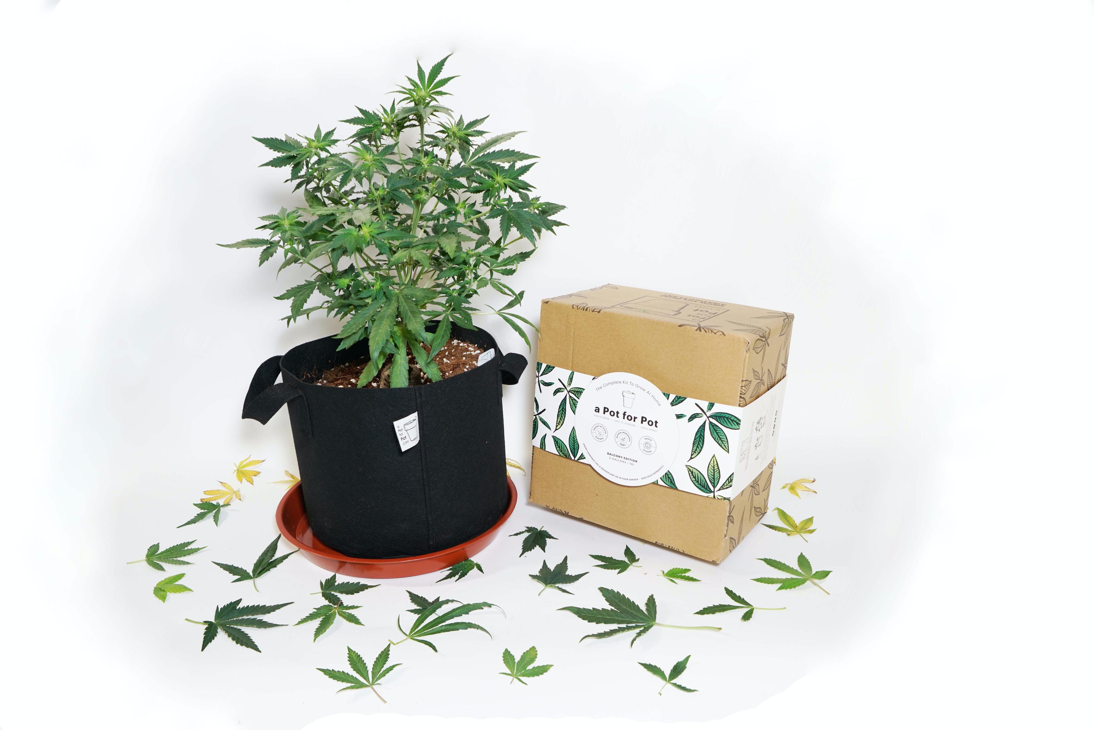 aPotforPot logo
