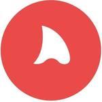 Biteplay - Laser Targeted Youtube Ads logo