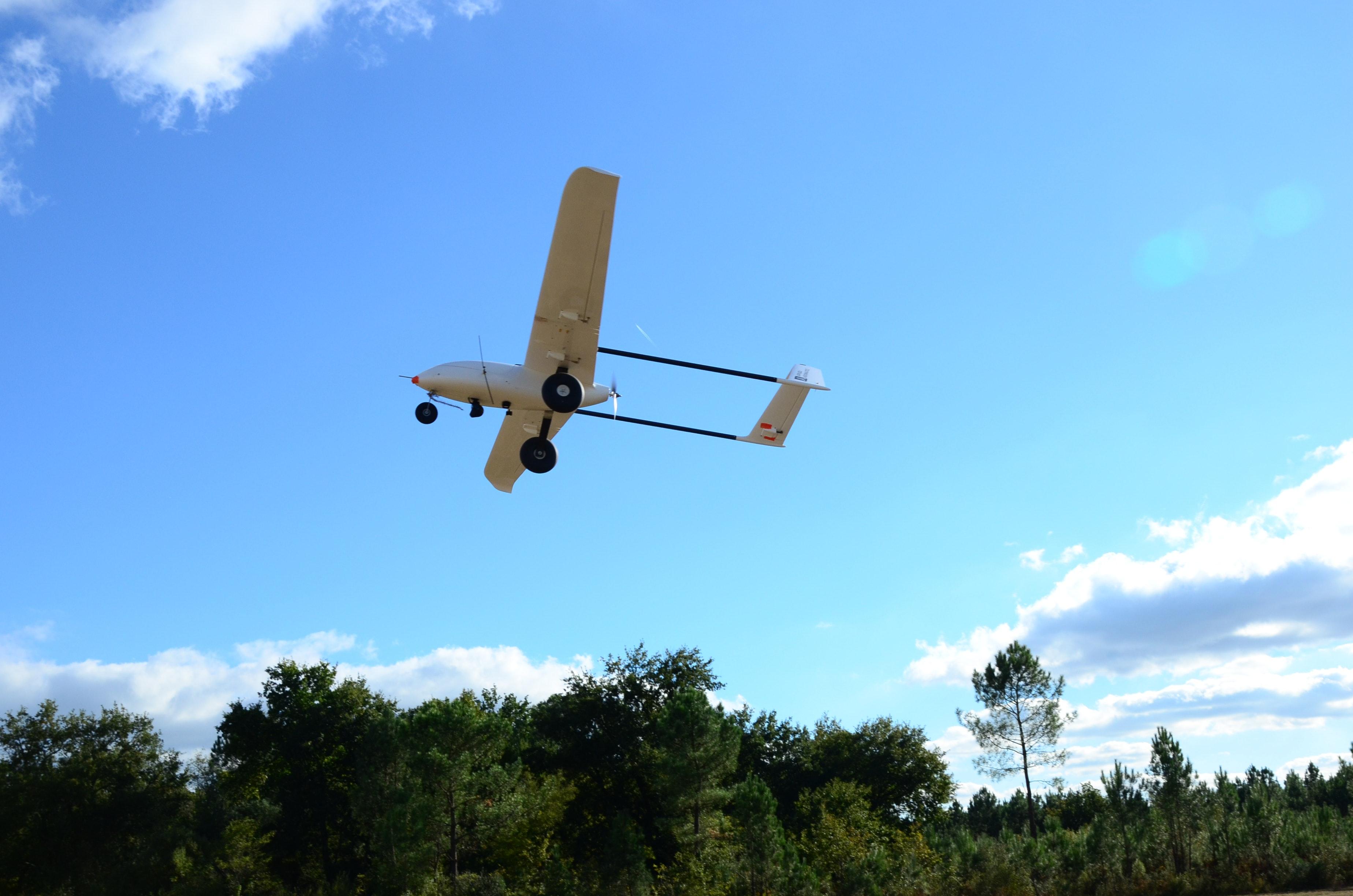 Albatross UAV logo