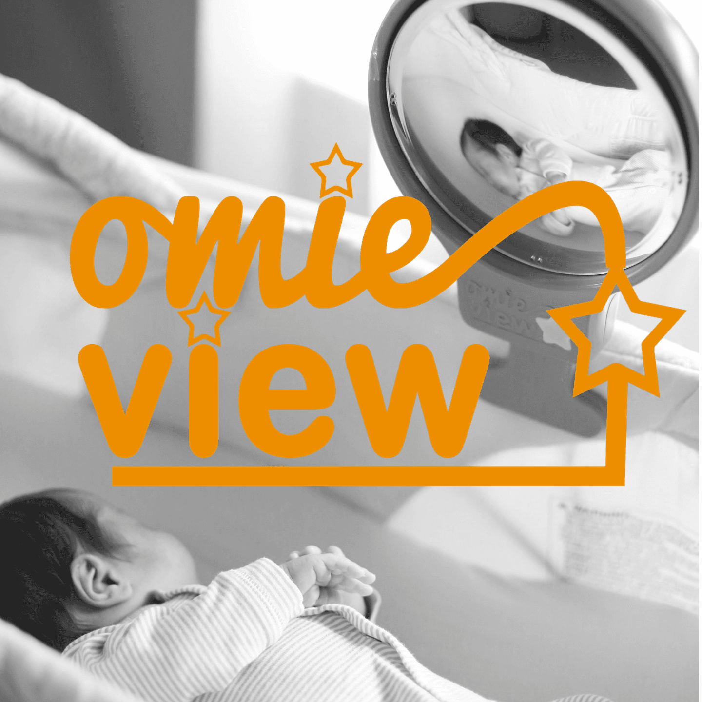 OmieView logo