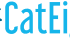 CatEight logo