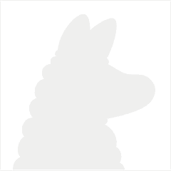 Waterllama logo