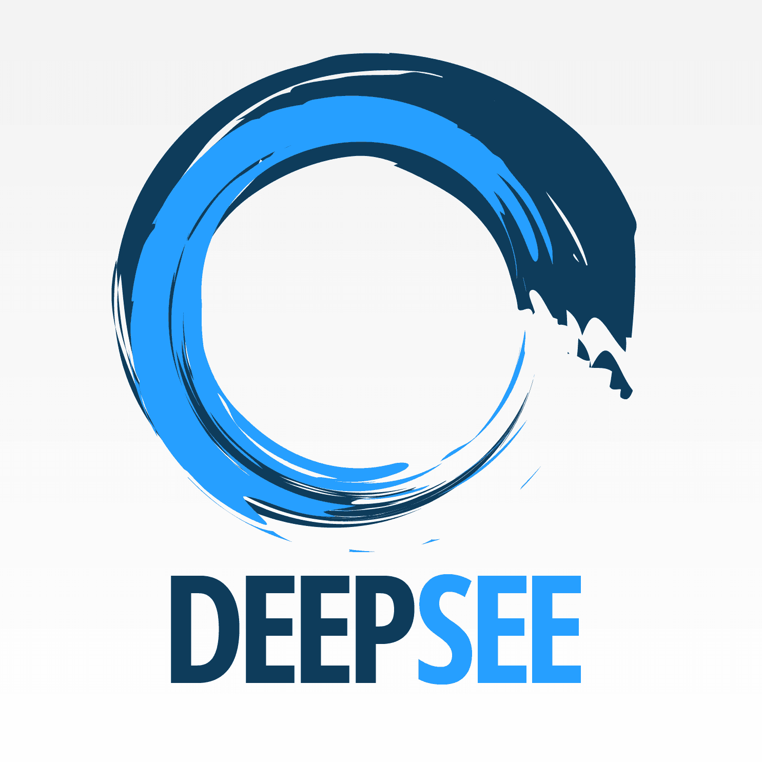 DeepSee logo