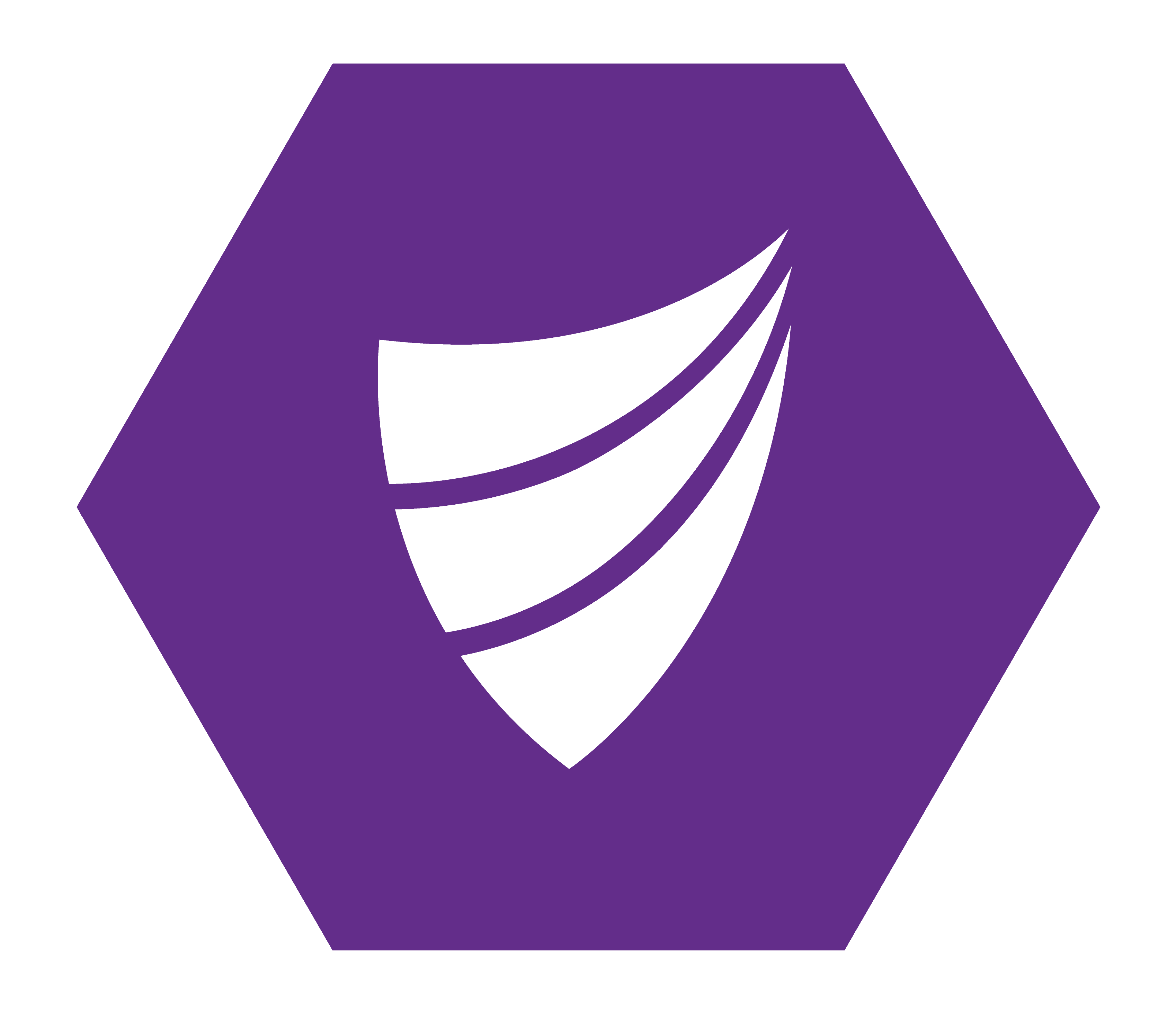 Integrum logo