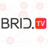 BridTV logo