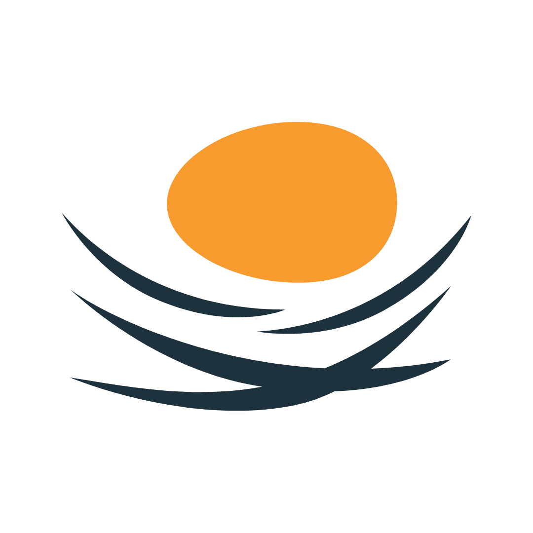 Nest Egg logo