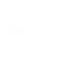 vMundus logo