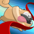 Pets Race logo