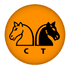 Chess Tempo logo
