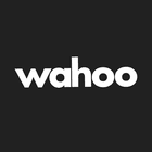 Wahoo Fitness logo