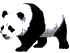 Panda-Sql logo
