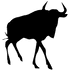 Tinybeest logo