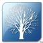 Apache Directory Studio logo
