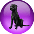 Black Lab Linux logo