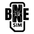 BNESIM logo