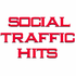 Social Traffic Hits logo