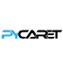 PyCaret logo