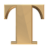 Text Input Recover Extension logo
