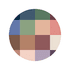 PrivacyBlur logo