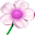 NuKit logo