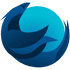Iceraven logo